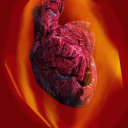 lorkhanagendaposting avatar