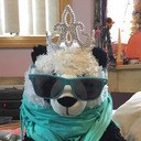 lorspolairepeluche avatar