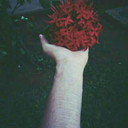 los-angeles-pueden-volar avatar