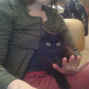 losdiasiguales avatar