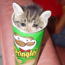 loser-with-a-side-blog avatar