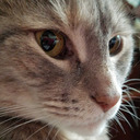 loser4dwdutapri avatar