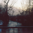 losersandkings-blog avatar