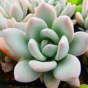 losinghalf-ofme avatar