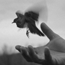 lossof-sensation avatar