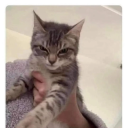 lost-att-seaaa avatar