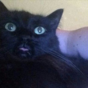 lost-hero-of-time avatar