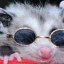 lost-in-derry avatar