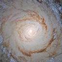 lost-in-lifex avatar