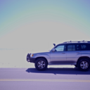 lost-in-shipping avatar