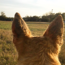 lost-in-thought-28 avatar