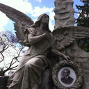 lost-in-woodlawn avatar