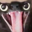 lost-karma-sushi avatar