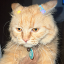 lost-lost-no-mi avatar