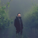 lost-my-mind-again avatar