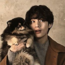 lost-traveler avatar