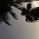 lost-visionzz avatar