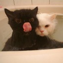 lostandfoound avatar