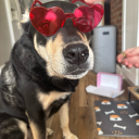 lostbutnowiamfound-24 avatar