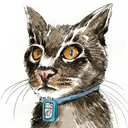 lostcatbook avatar