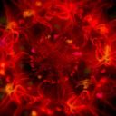 losteyesofthesun avatar