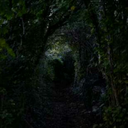 lostinbrokentomorrow avatar