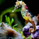 lostindreamland101186 avatar