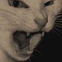 lostinherownworld3785 avatar