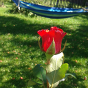 lostinlifeandbooks avatar