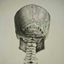 lostinmyownmind1 avatar