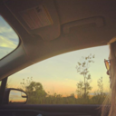 lostinthebeans avatar