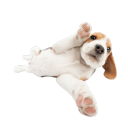 lostinthebigcity avatar