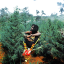 lostinthew0rld avatar