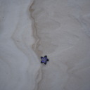 lostinthewronguniverse avatar