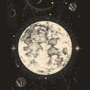 lostinthisdreams avatar