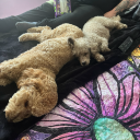 lostinthoughts17 avatar