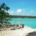 lostintravelert avatar