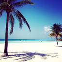 lostinwordsofyou avatar