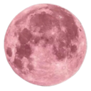 lostmissadventures avatar