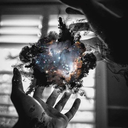 lostmy-universe avatar