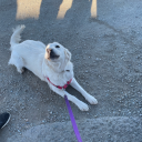 lostmyaccountagain avatar