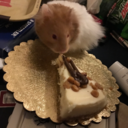 lostpagesofme avatar