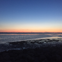 lostparadise54 avatar