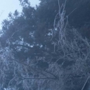 lostsoul43v3r avatar