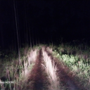 lostsouldlo84 avatar