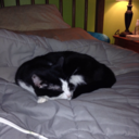 losttotheworldinside avatar