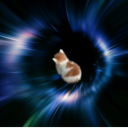 lostwriter--xx3 avatar