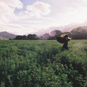 losversospendientes avatar