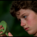 lotfphotoarchive avatar