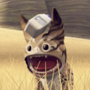 loth-cat-nation avatar